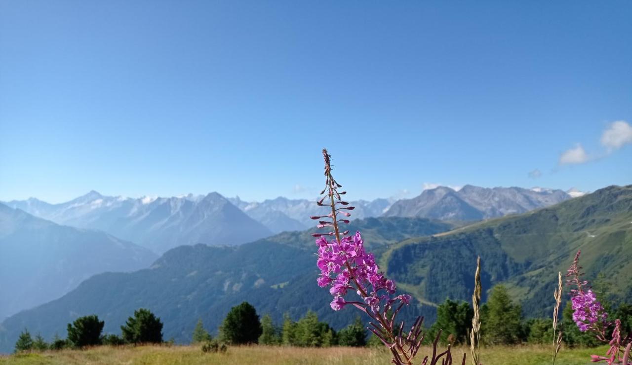 Apart Anna Mayrhofen Exterior foto